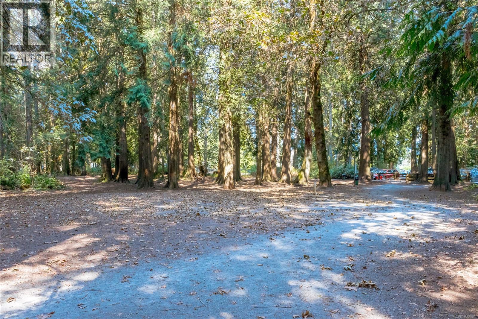 2165 Timber Ridge Crt - 43