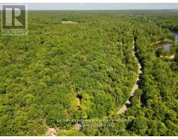 Lot 6 Fairy Falls Road, Lake Of Bays, ON P0B1A0 Photo 6