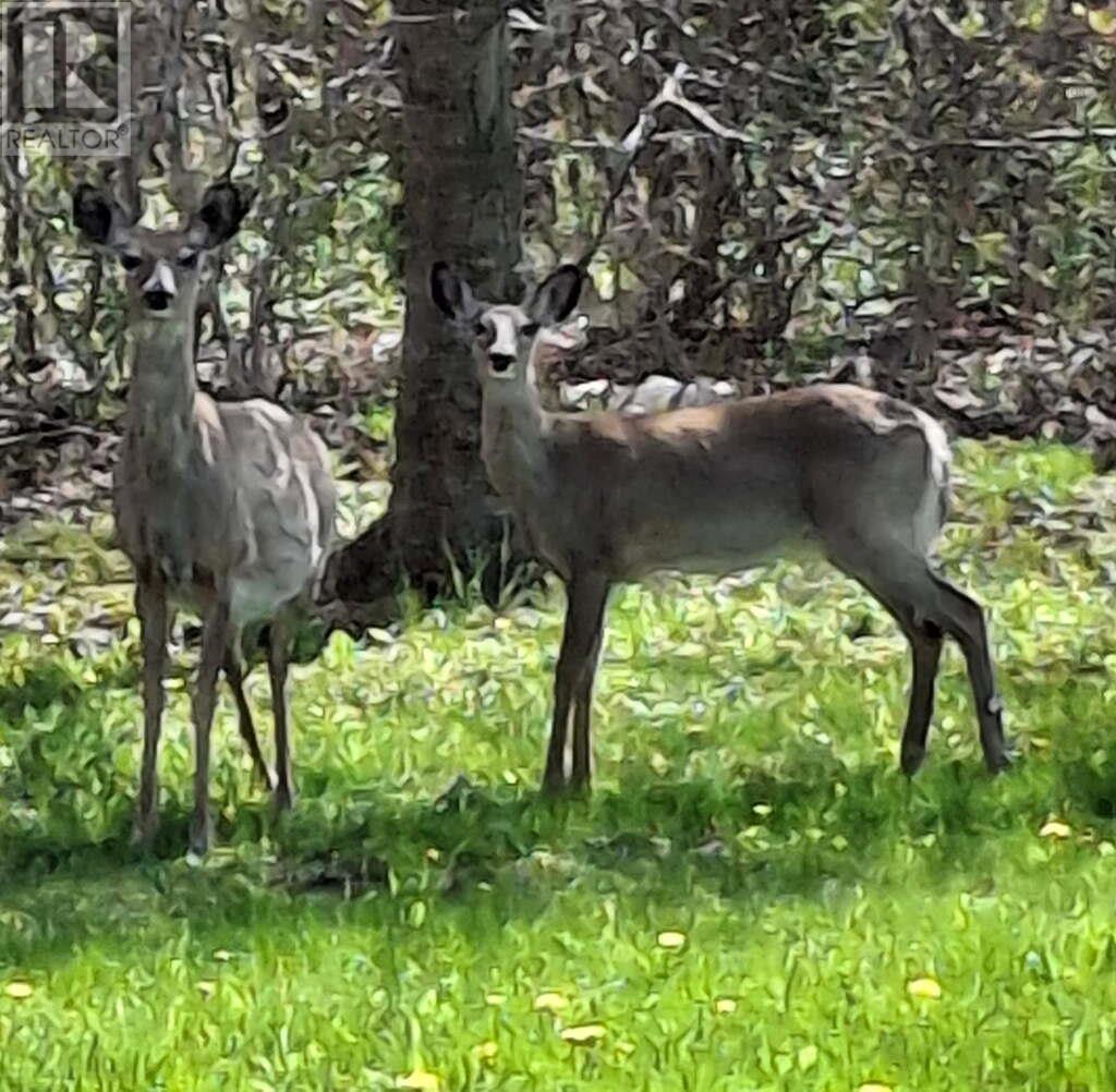 15 Deer Haven Drive - 19