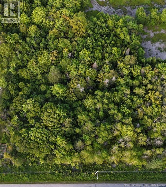 1.42 acre rue de la Baie, Maisonnette — photo 3