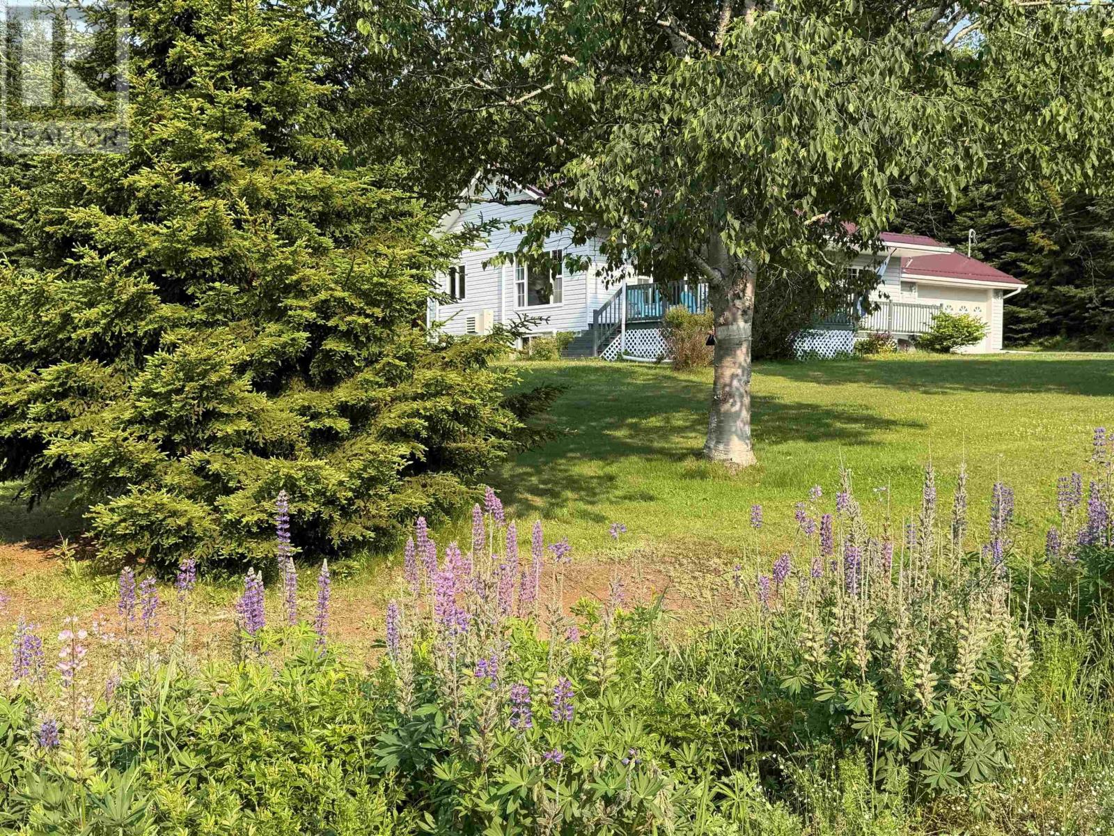 238 Soley Cove Road - 28