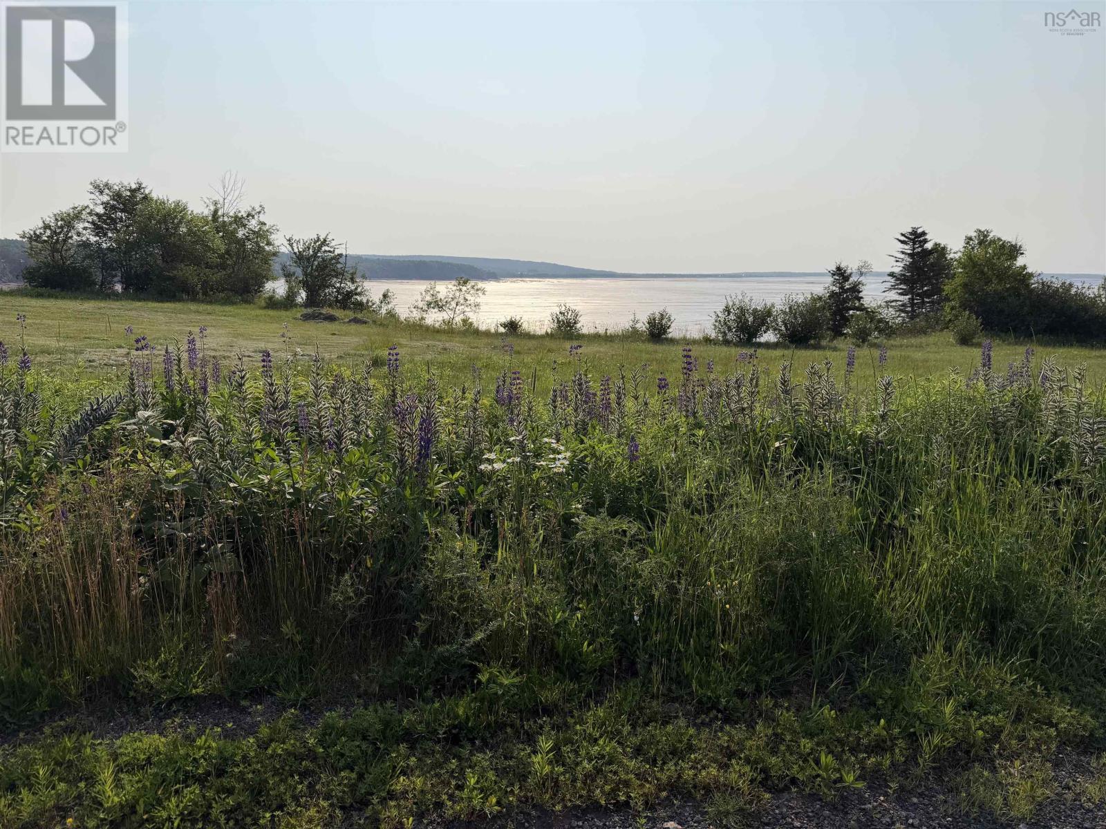 238 Soley Cove Road - 25