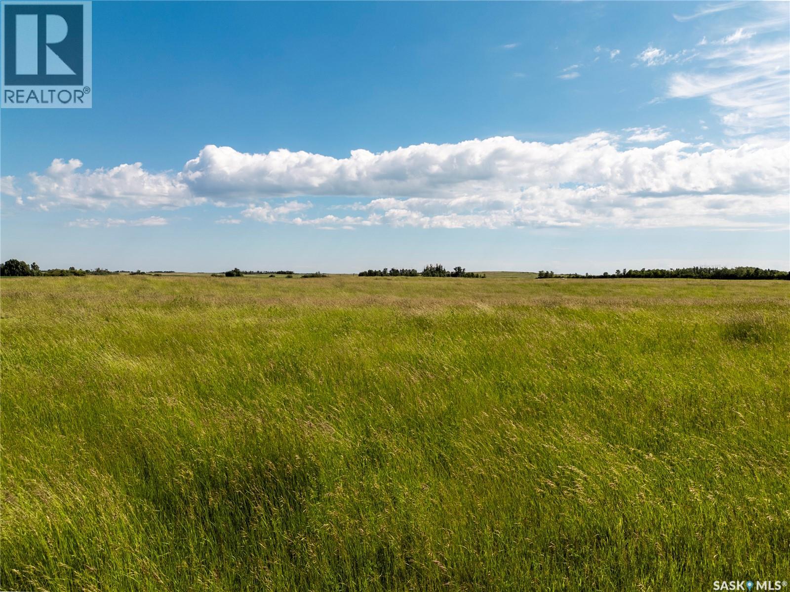 Melville West Cattle Ranch — photo 9