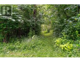 23 Silver Creek Drive, Collingwood, ON L9Y4W8 Photo 45