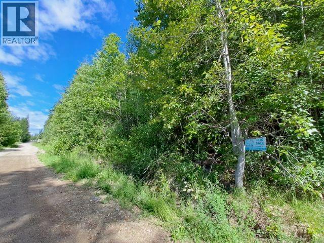 Vickers Trail Lot# 24, Anglemont — photo 2