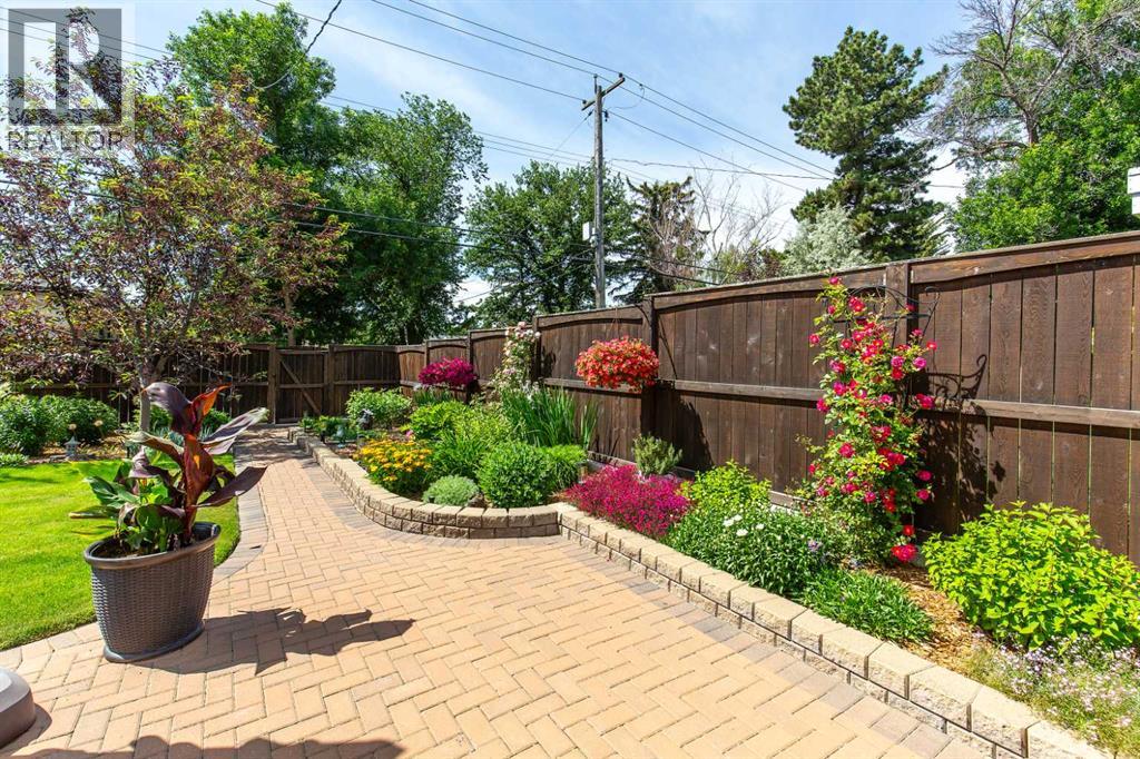 Backyard Greenery