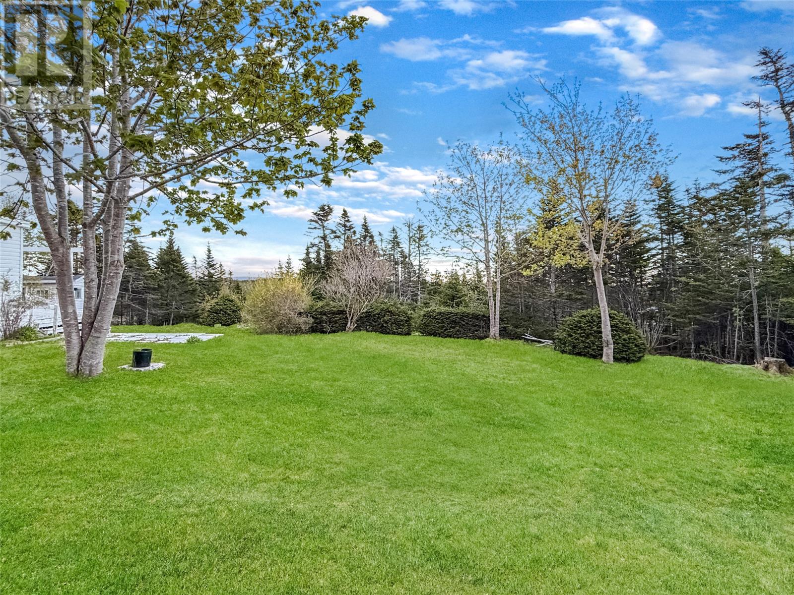 204 Vineland Road - 13