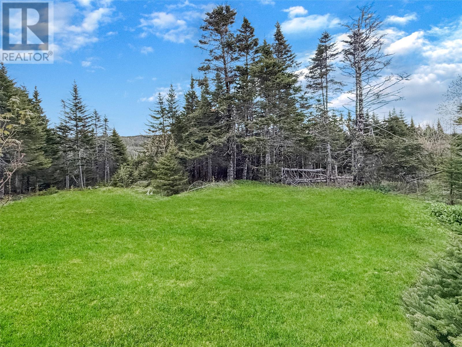 204 Vineland Road - 15
