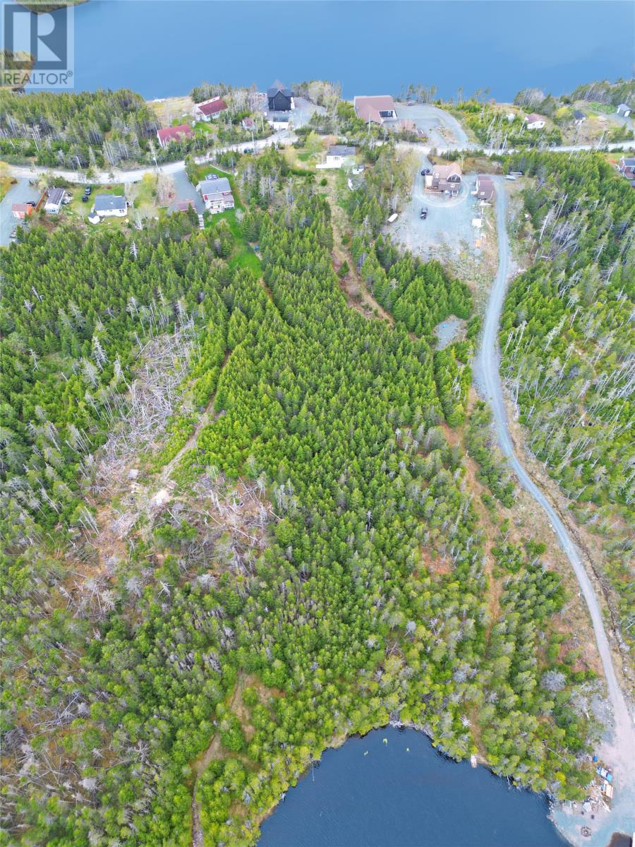 204 Vineland Road - 20