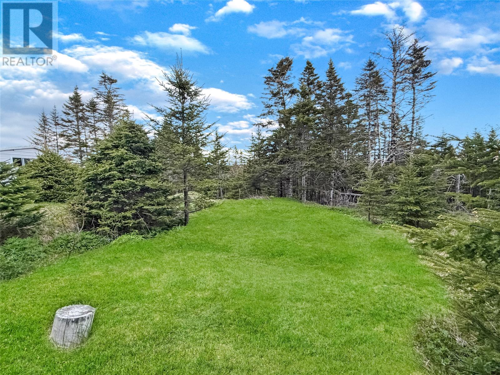 204 Vineland Road - 14
