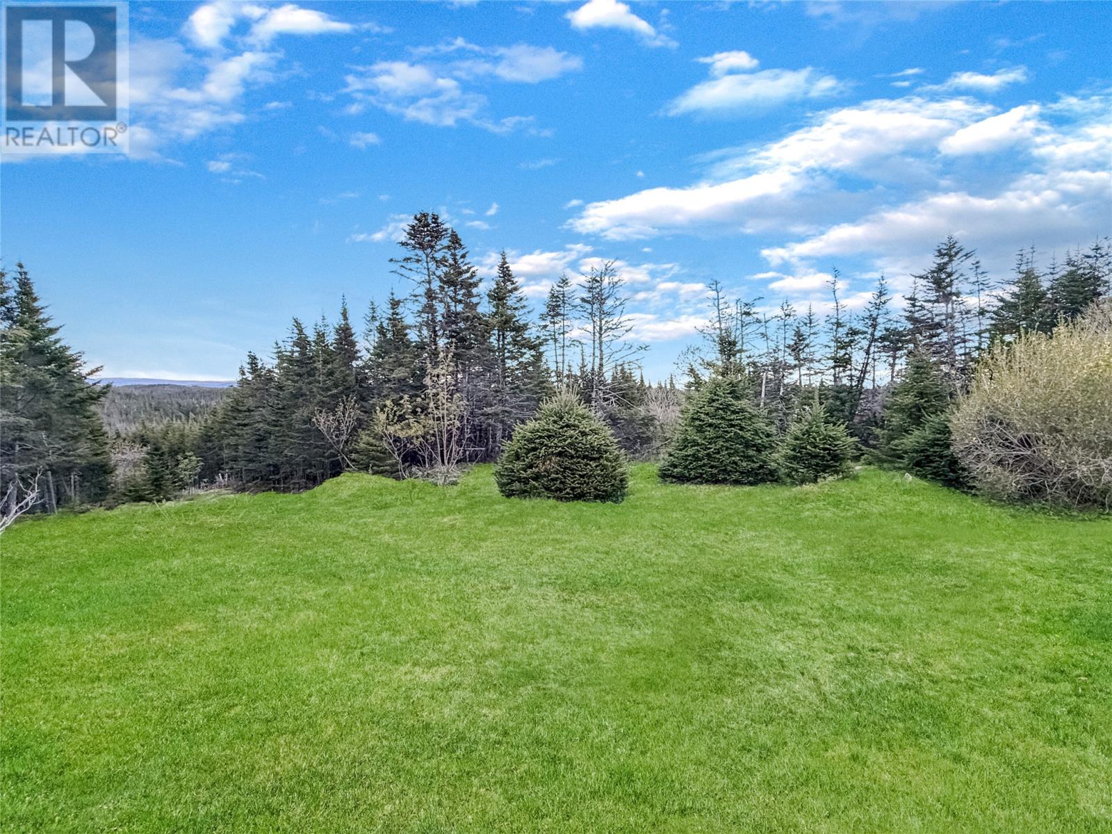 204 Vineland Road - 16