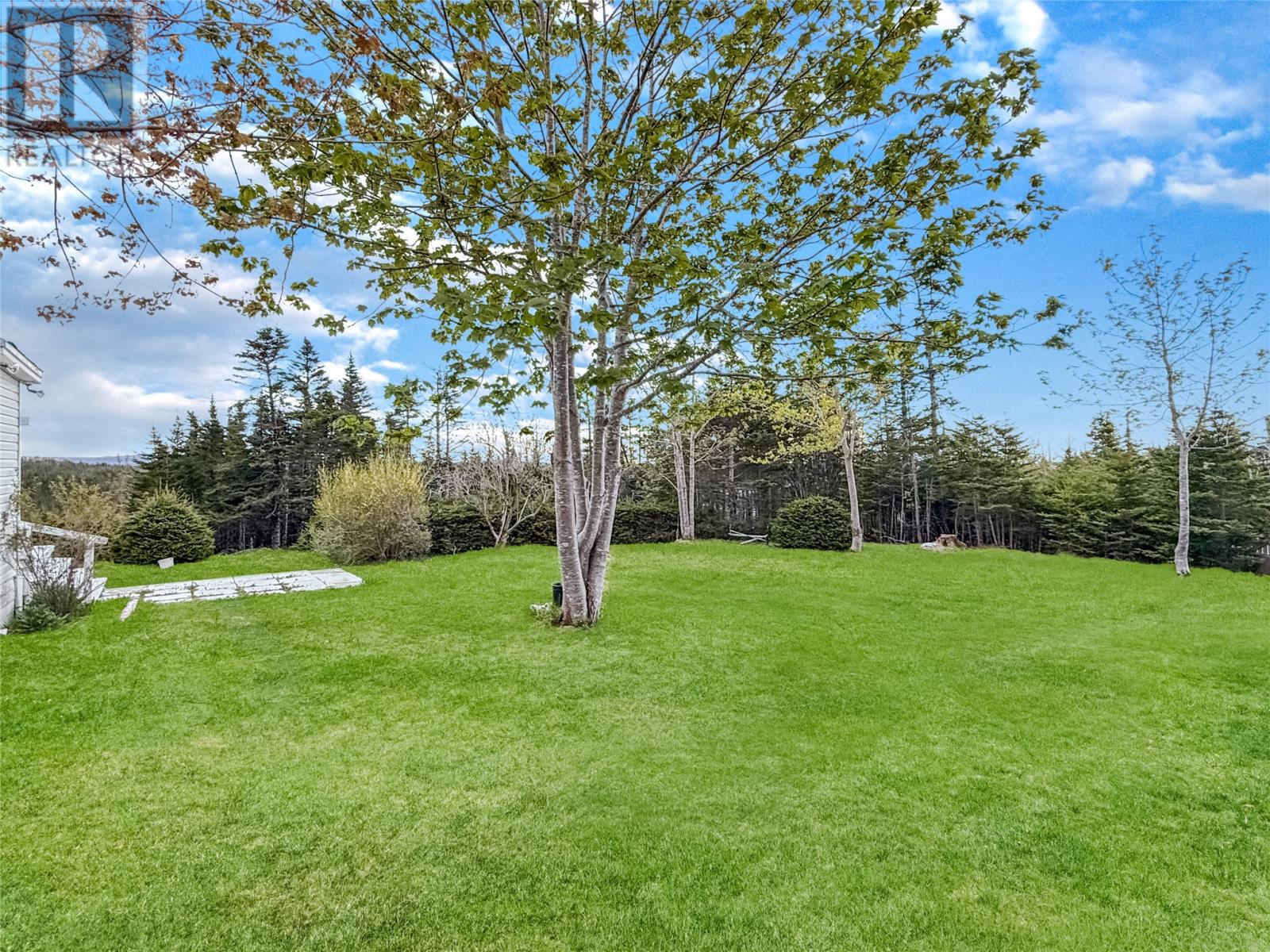 204 Vineland Road - 12