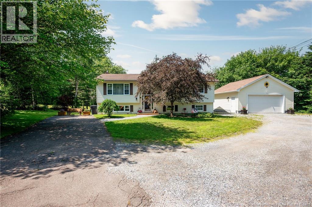 9 Anna Avenue - 50