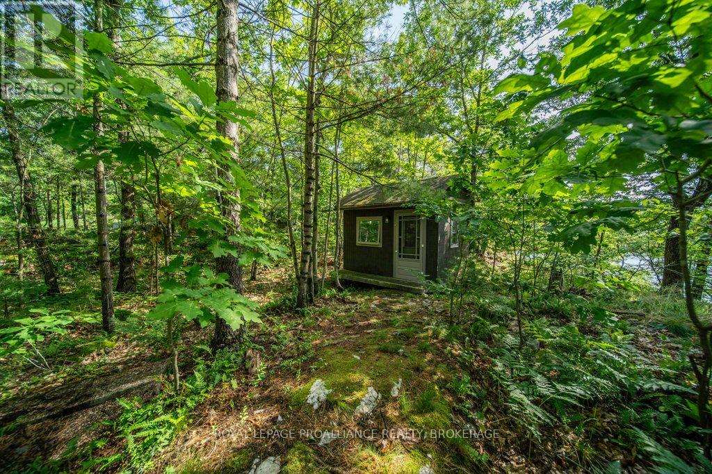 811 HERMIT THRUSH LANE - 26