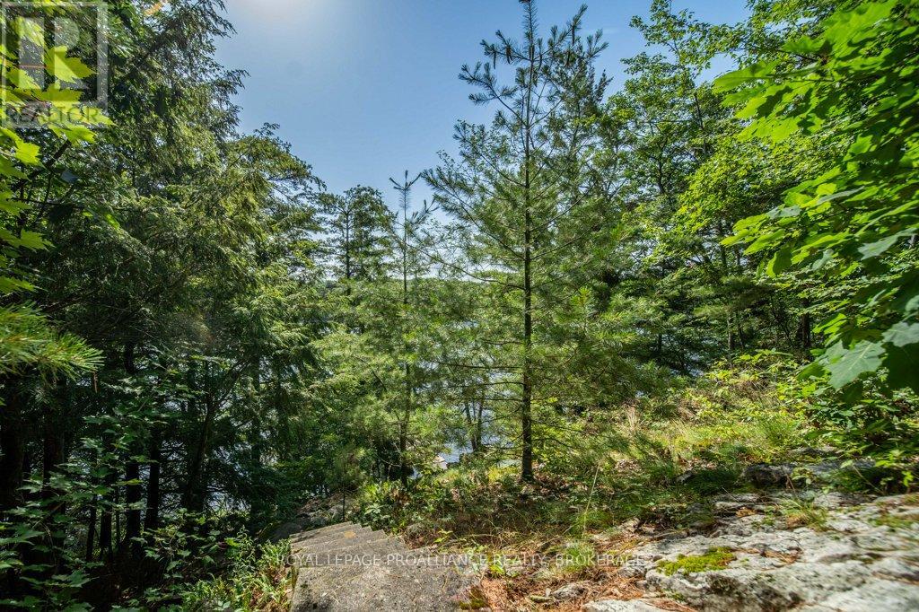 811 HERMIT THRUSH LANE - 31