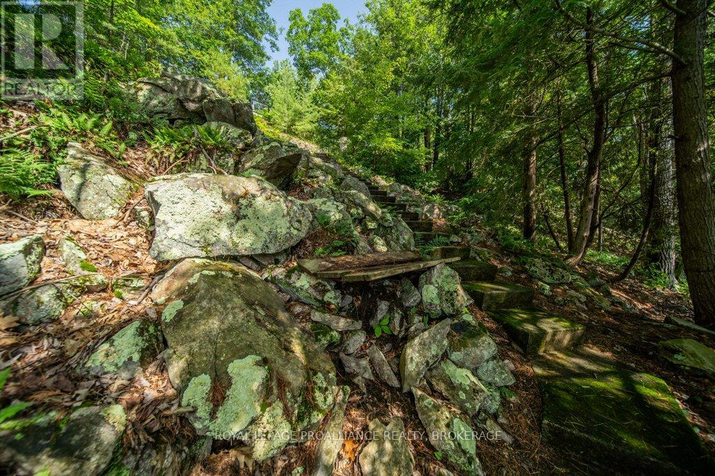 811 HERMIT THRUSH LANE - 35