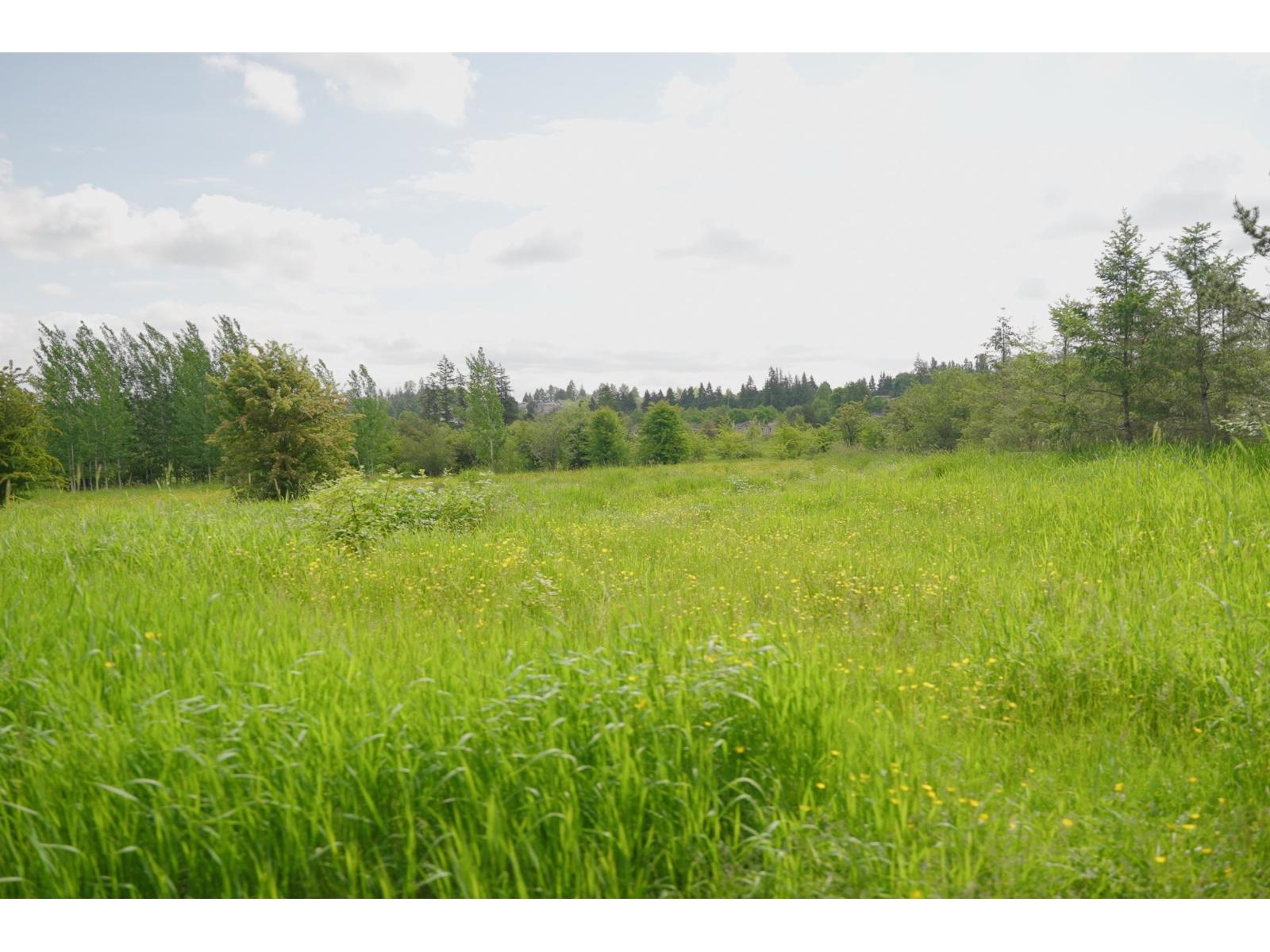 21326 48 AVENUE, Langley