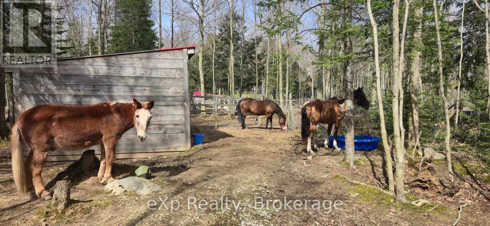 217 FORTY HILLS ROAD - 36