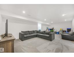 556 Merlin Ld Nw, Edmonton, AB T5S0L9 Photo 50