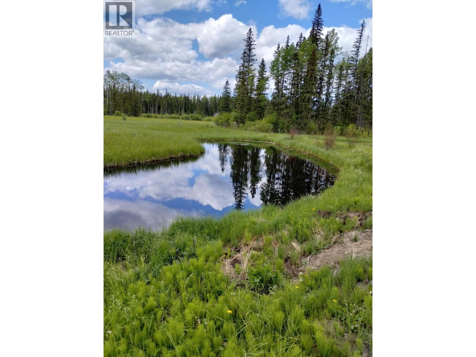 6534 HORSE LAKE FOREST SERVICE ROAD - 27