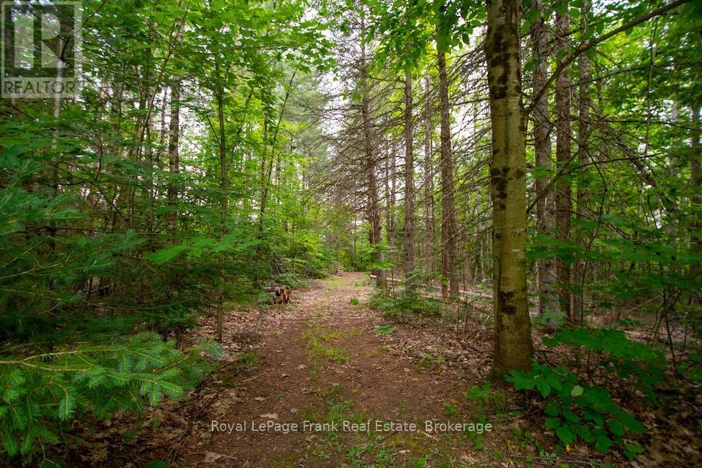 3719 COUNTY RD 507 ROAD - 42