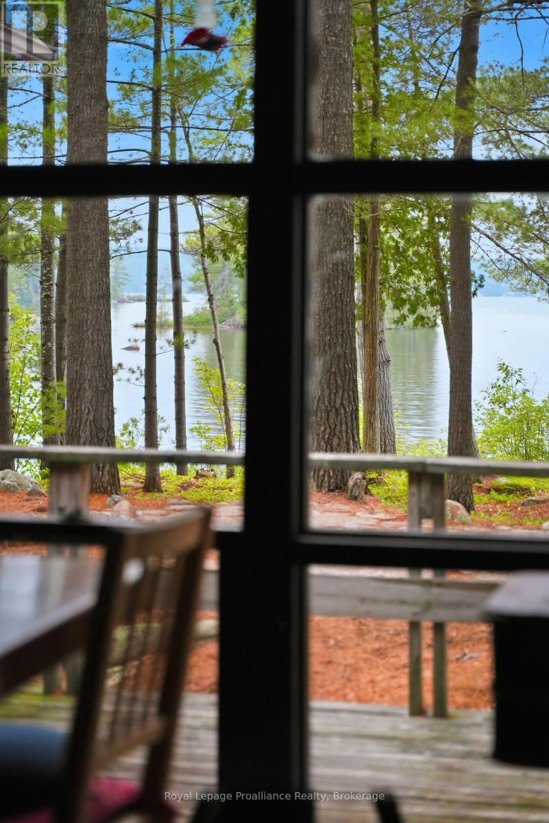 786 MAZINAW LAKE - 43