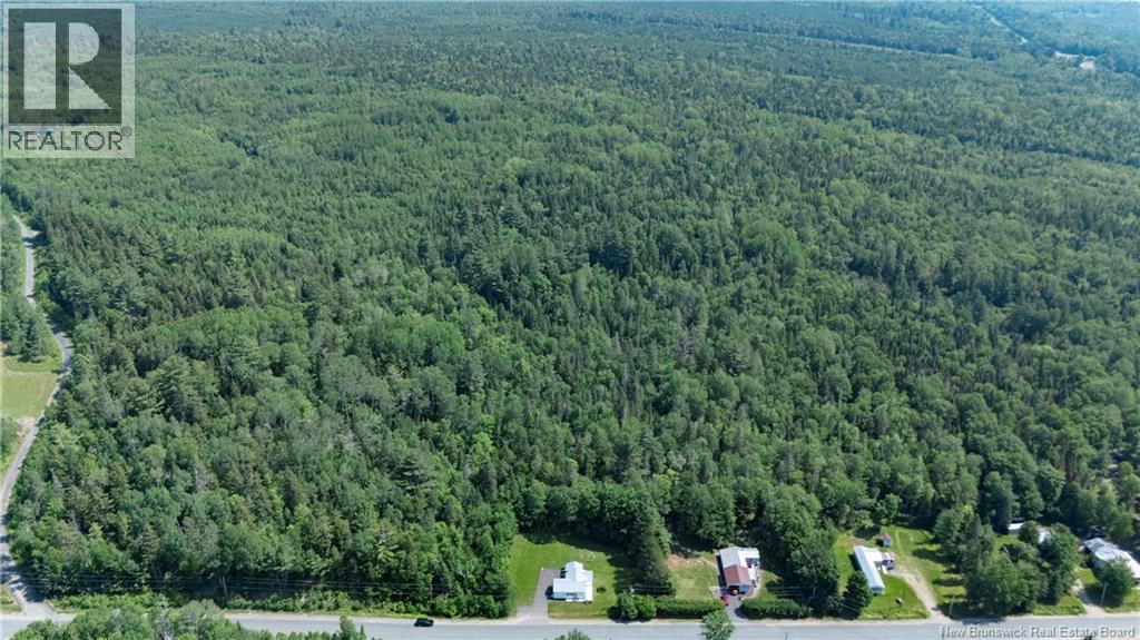 74 Hazelton Road - 34