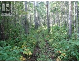 404-13352 Lakeland, Rural Lac La Biche County, AB T0A2C1 Photo 18