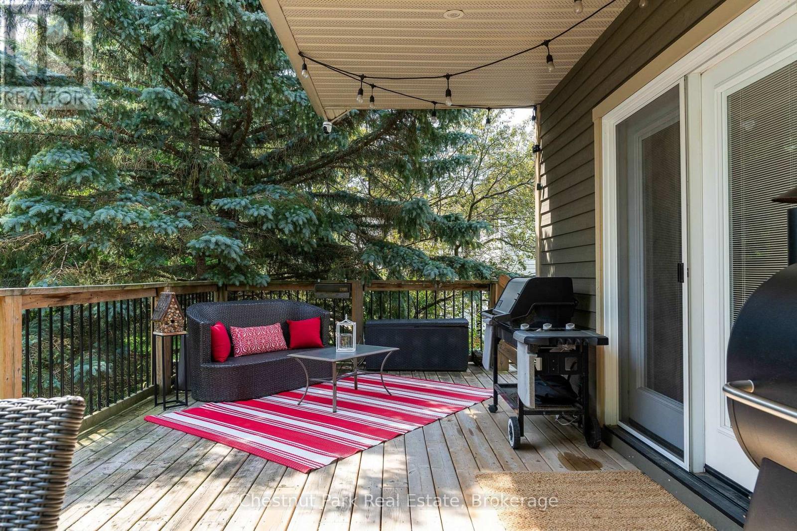 15 SAUNDERS STREET - 7