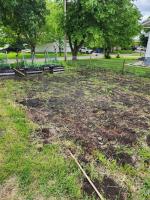 401 Elizabeth Street, Neepawa, MB R0J1H0 Photo 11