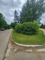 401 Elizabeth Street, Neepawa, MB R0J1H0 Photo 8
