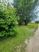 401 Elizabeth Street, Neepawa, MB R0J1H0 Photo 10