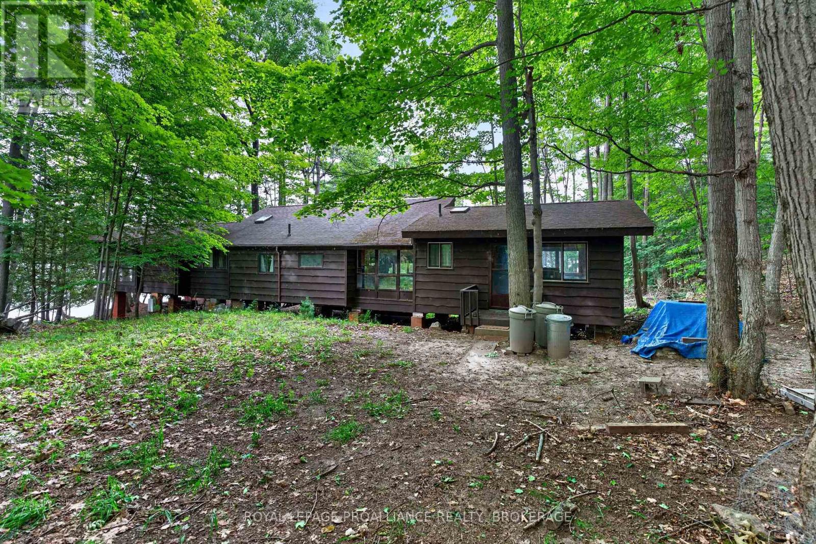 3 SCOTT ISLAND - Image 3