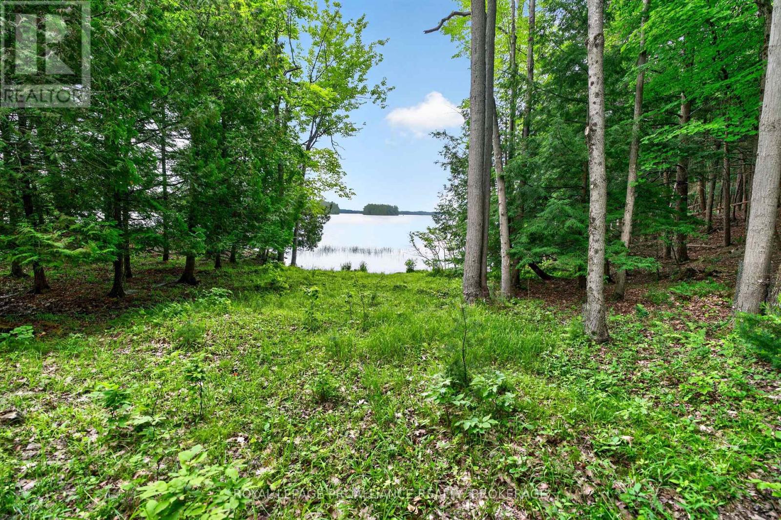 3 SCOTT ISLAND - Image 47