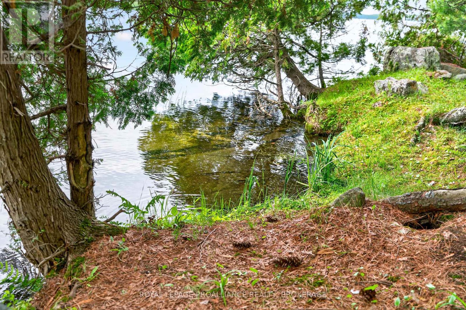 3 SCOTT ISLAND - Image 49