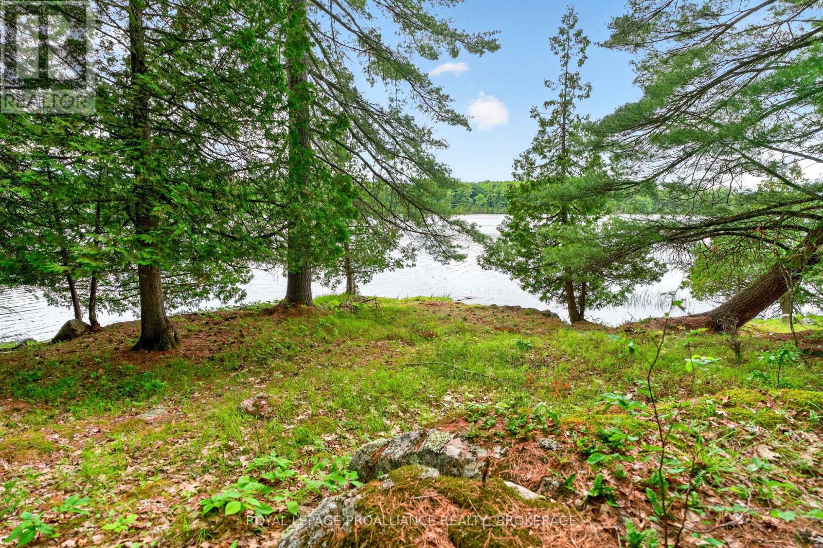 3 SCOTT ISLAND - Image 6