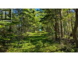 3539 Highway 255, Black Brook, NS B1B1T7 Photo 48