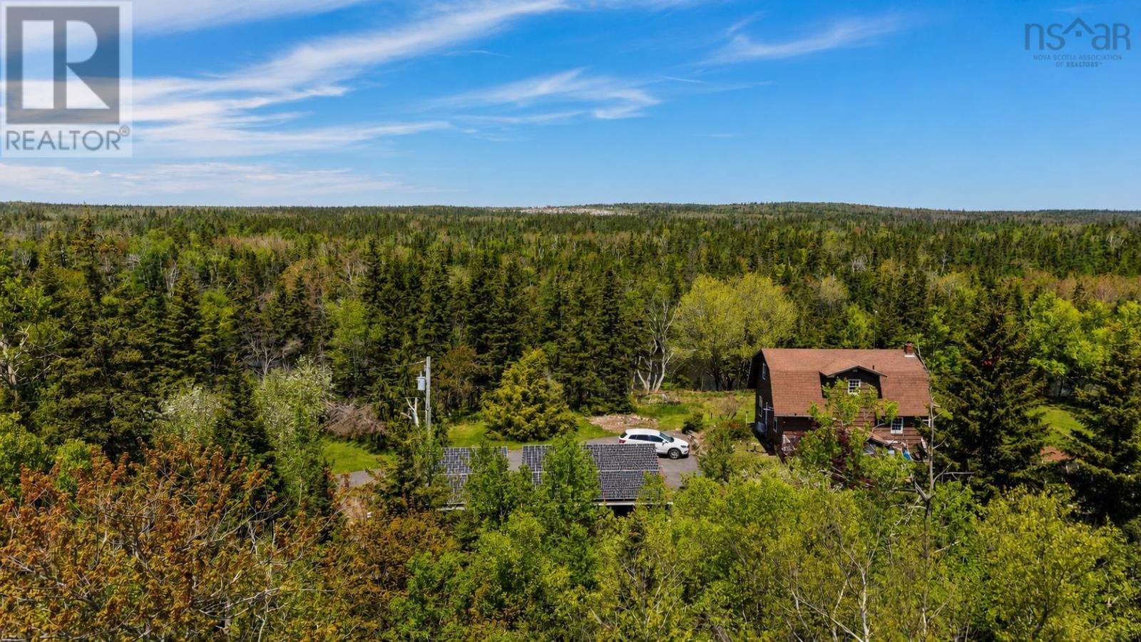3539 Highway 255 - 50