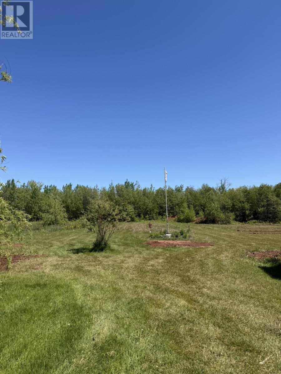 Thumbnail 19