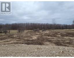 117 Butternut Court, Grey Highlands, ON N0C1H0 Photo 7