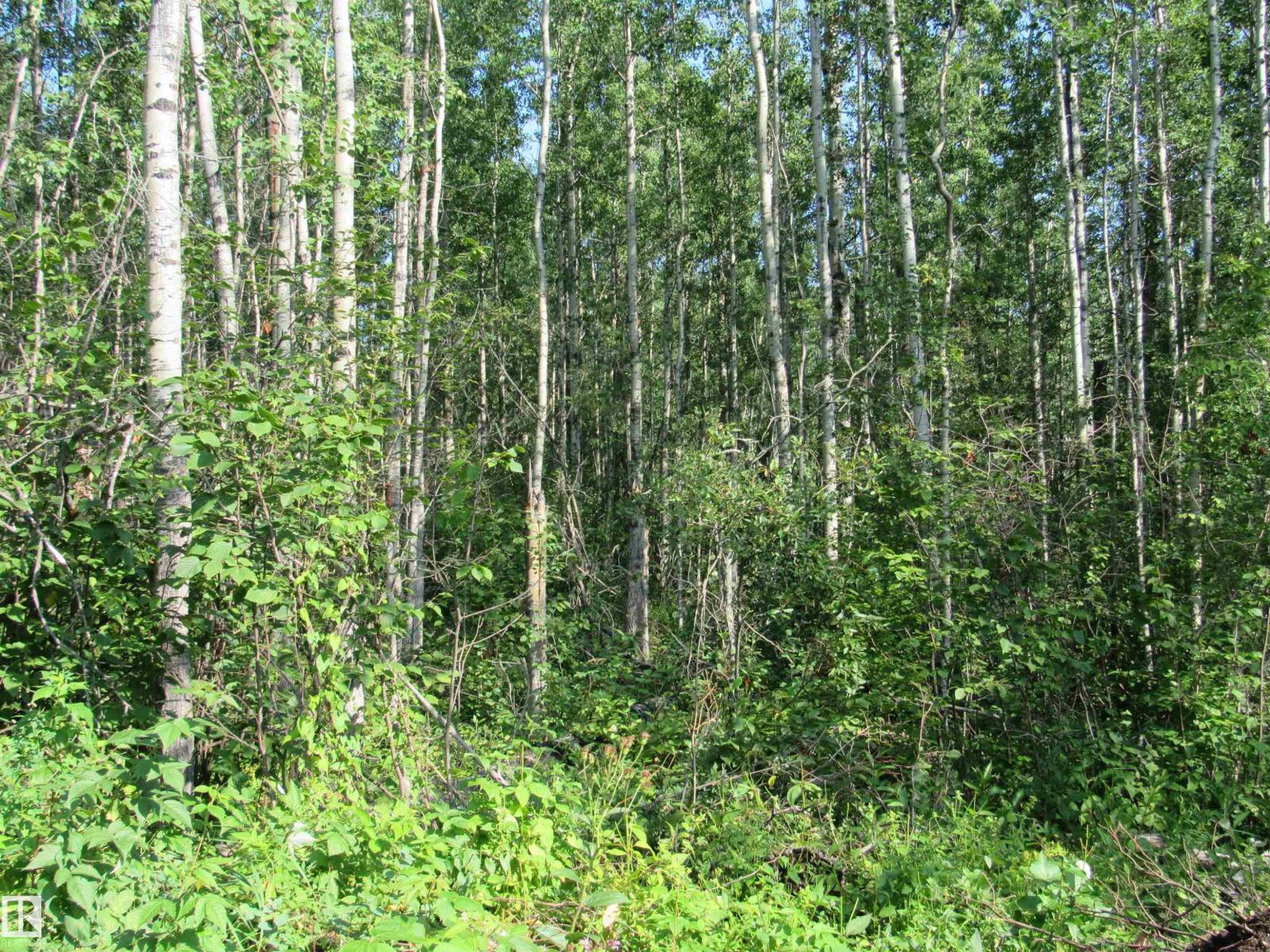 59316 Rge Rd 54 - Lot 61 - 8
