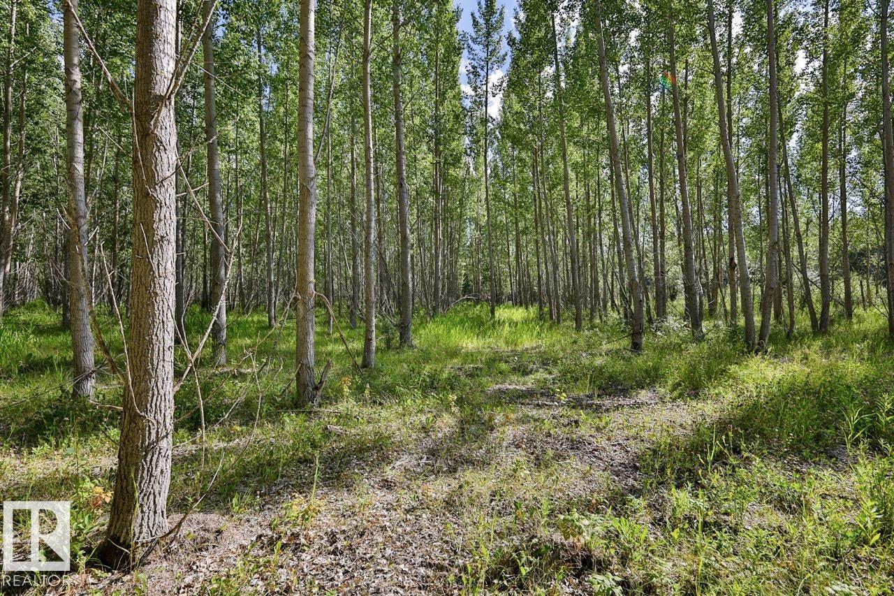 RGE RD 24 TWP RD 562 - photo 2