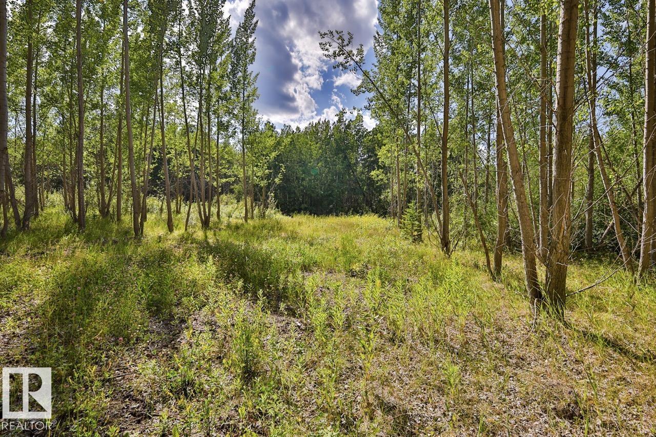 RGE RD 24 TWP RD 562 - photo 4