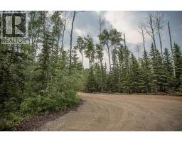 40 & 41 Tugate Drive, Rural Mackenzie County, AB T0H1Z0 Photo 25