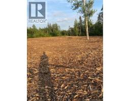 Lot Raymel Road, Grand Barachois, NB E4P0N7 Photo 9
