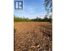 Lot Raymel Road, Grand Barachois, NB E4P0N7 Photo 6