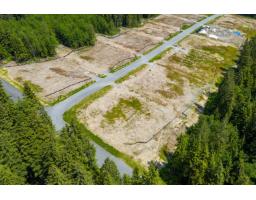 30365 Endo Avenue, Mission, BC V4S1C6 Photo 6