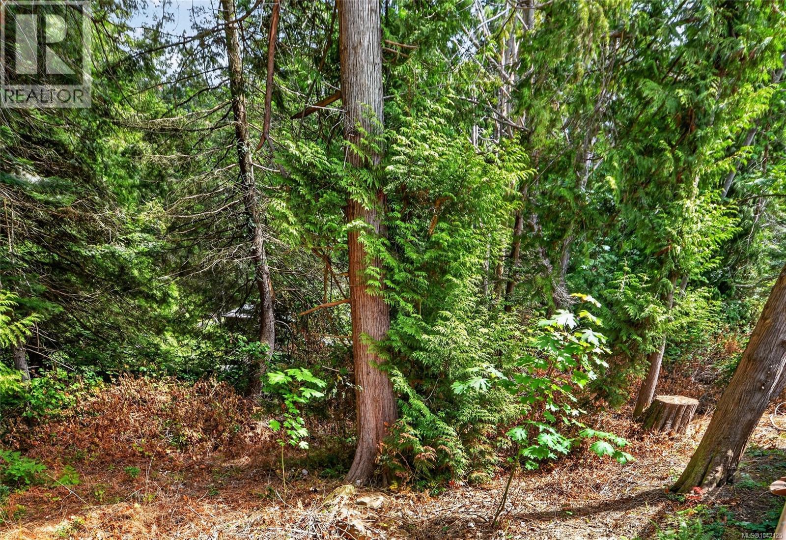 896 Canso Rd - 25