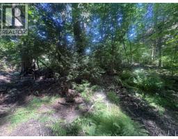 5025 Agar Avenue, Terrace, BC V8G1H9 Photo 6
