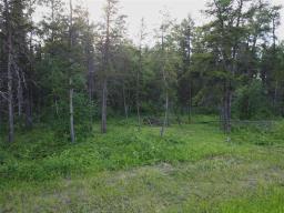 50 James Drive, Molson, MB R0E1X0 Photo 11